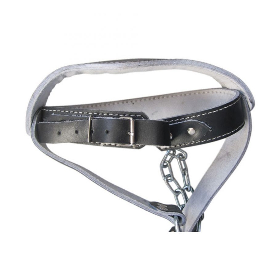 Head Harness