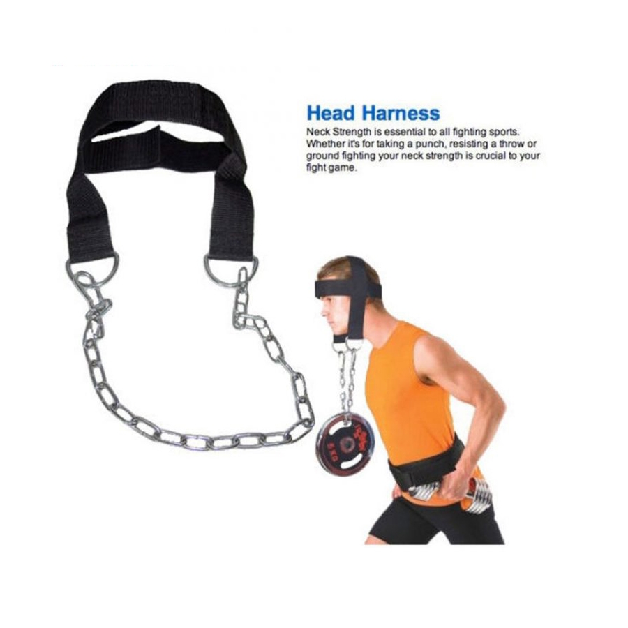 Head Harness